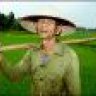 rice_farmer